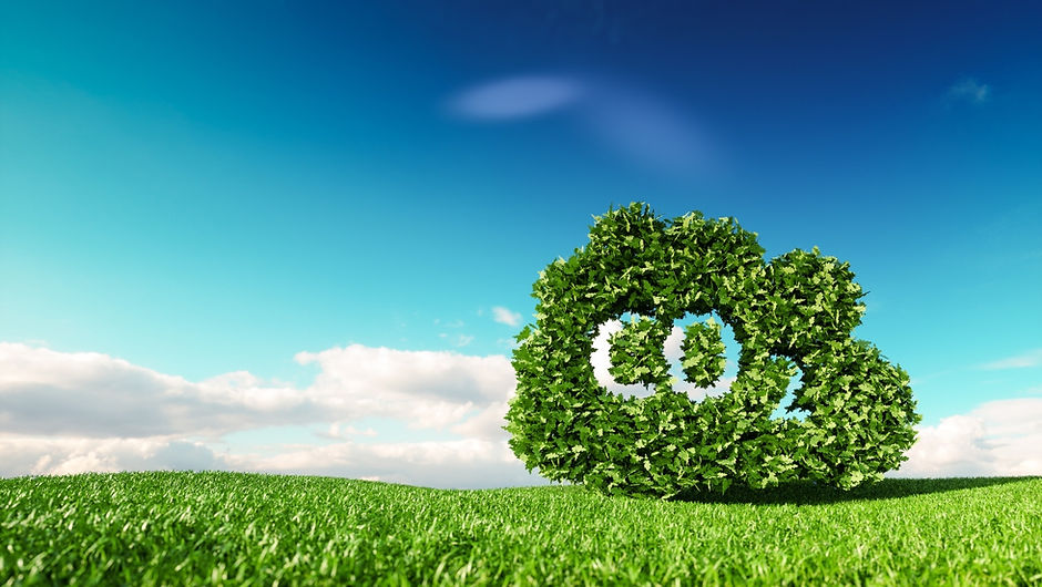 CO2_tree_Adobe.jpg